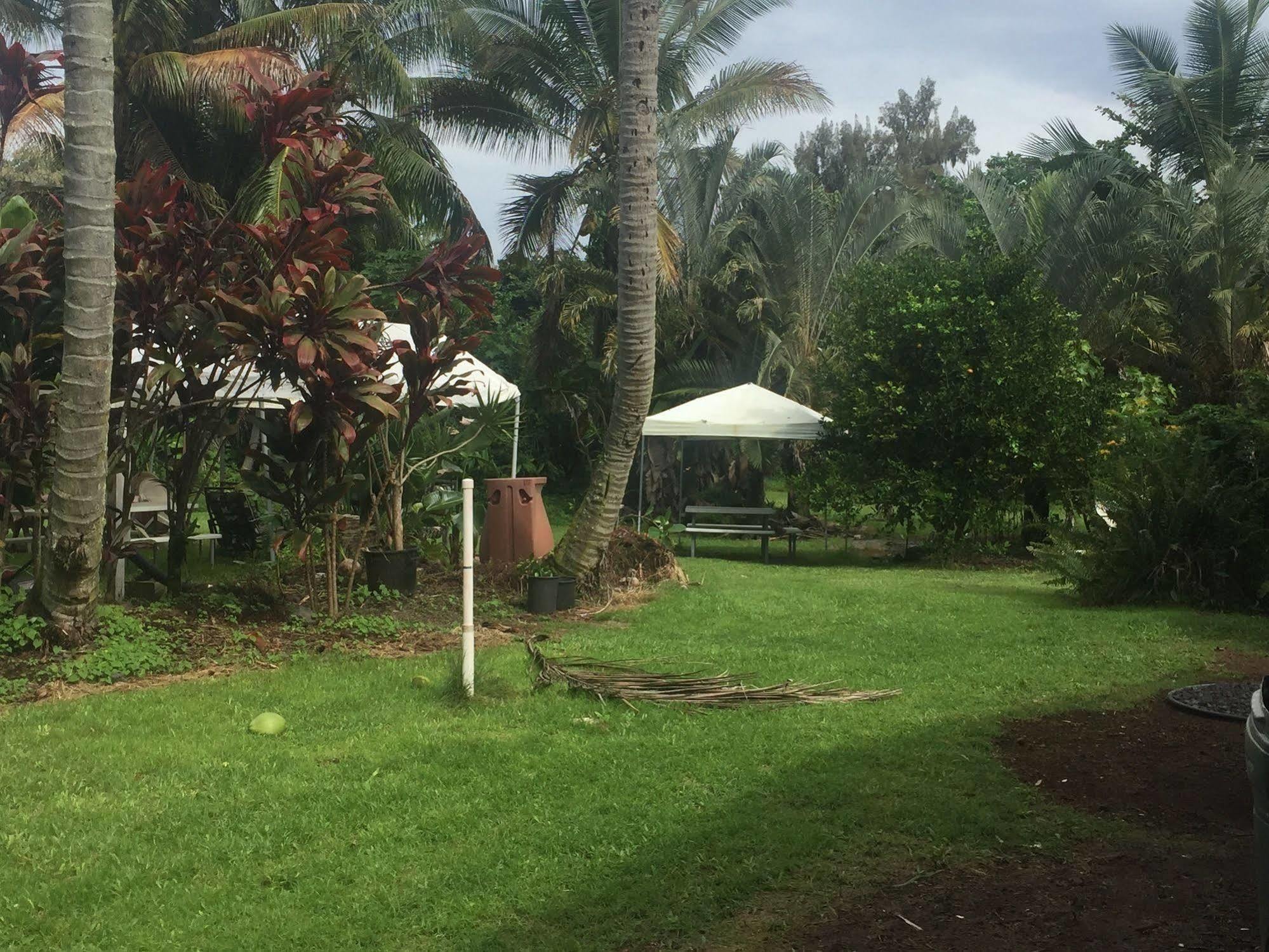 Aaron'S Cottage Hilo Exterior foto
